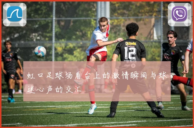 虹口足球场看台上的激情瞬间与球迷心声的交汇
