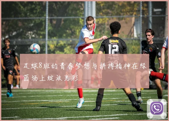 足球8班的青春梦想与拼搏精神在绿茵场上绽放光彩