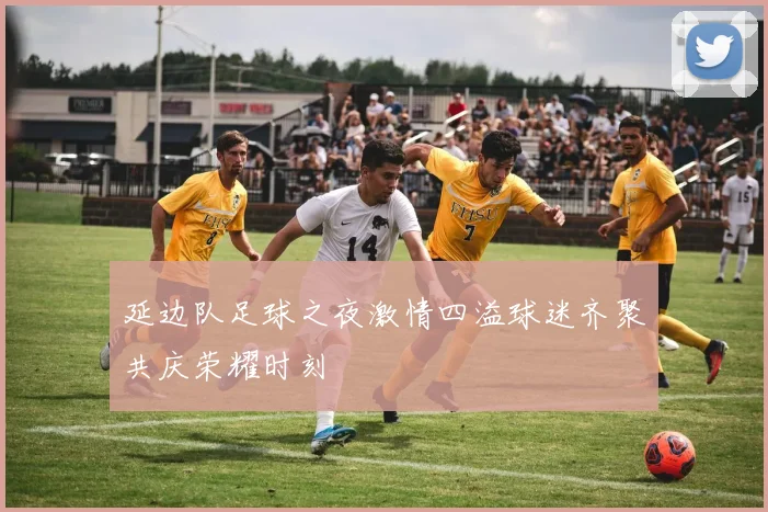 延边队足球之夜激情四溢球迷齐聚共庆荣耀时刻